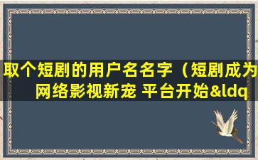 取个短剧的用户名名字（短剧成为网络影视新宠 平台开始“抢滩”短剧赛道）